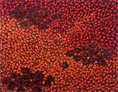 睡蓮と紅葉