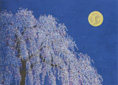 Moon and cherry blossoms