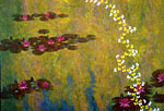 Butterfly's dance on Monet's pond