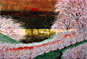 Paths-Cherry blossoms and more cherry blossoms